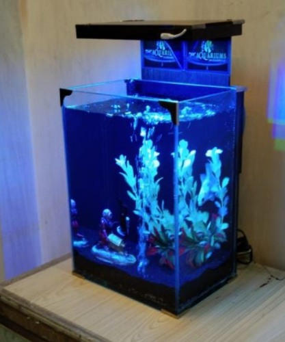 Betta  Gold fish House