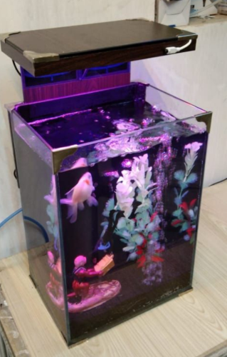 Betta  Gold fish House