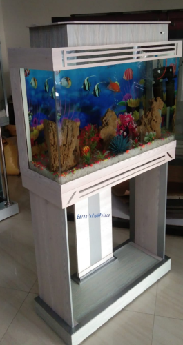 DHC Fancy Aquarium