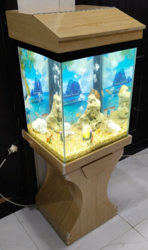 Piano Top Wooden Aquarium