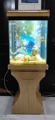 Piano Top Wooden Aquarium