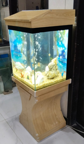 Piano Top Wooden Aquarium