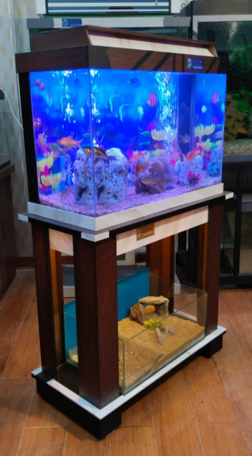 Aquarium  Vivarium