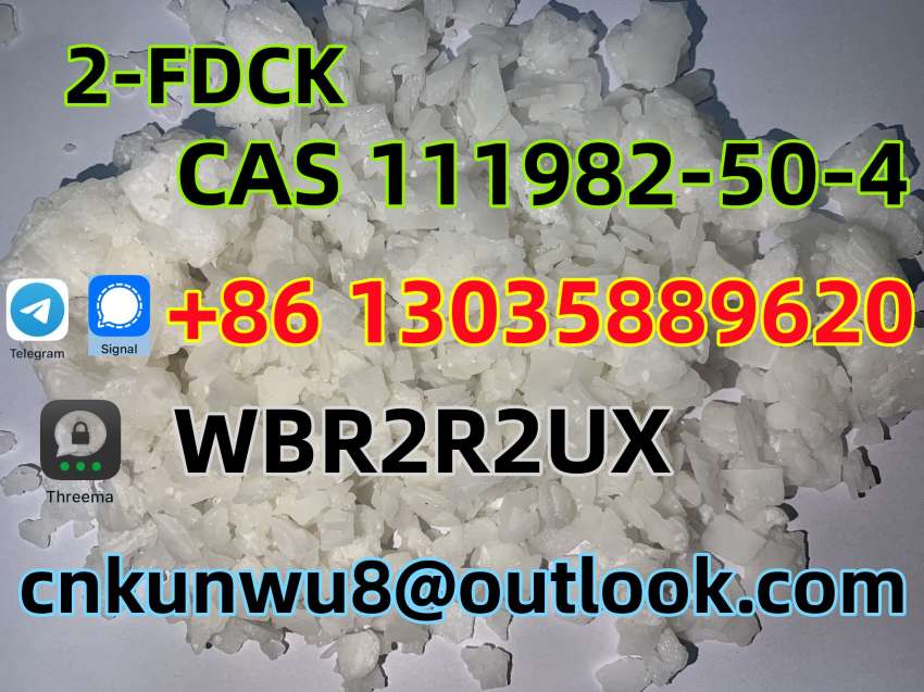 CAS111982504 2FDCK 2Fluorodeschloroketamine