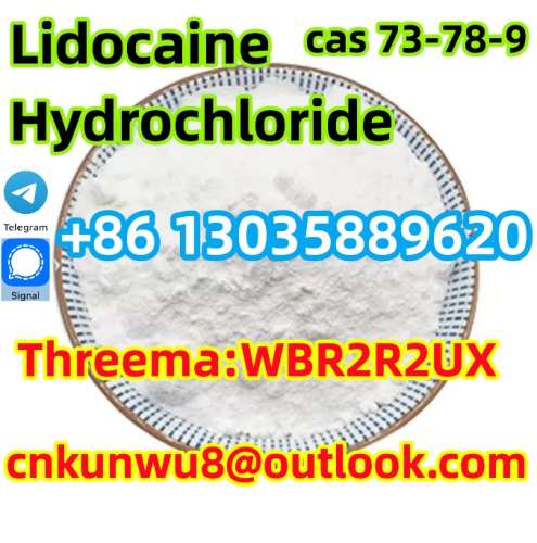 High Quality Lidocaine hydrochloridLidocaine hcl cas 73789 Safe Delivery