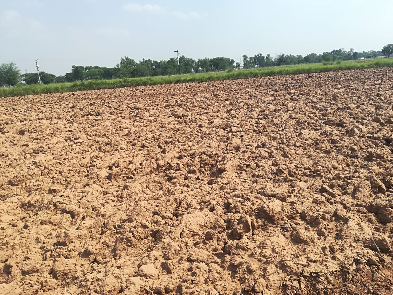 28 KANAL AGRI LAND FOR SALE NEAR TO NEW ISLAMABAD AIRPORT