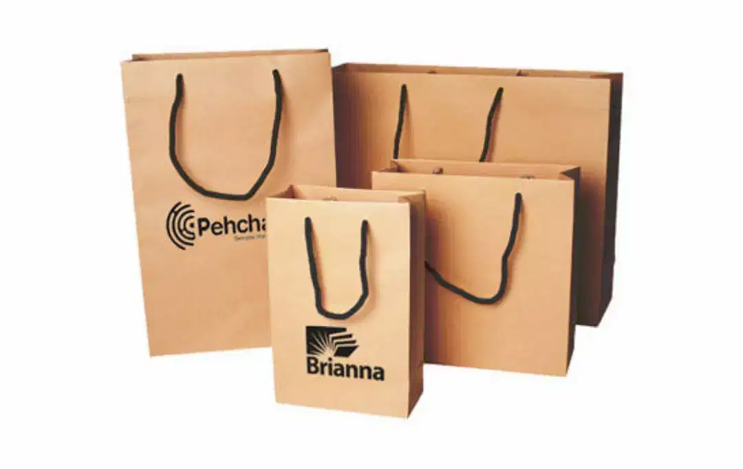 Paper bag & resturant bag bussines paper bag