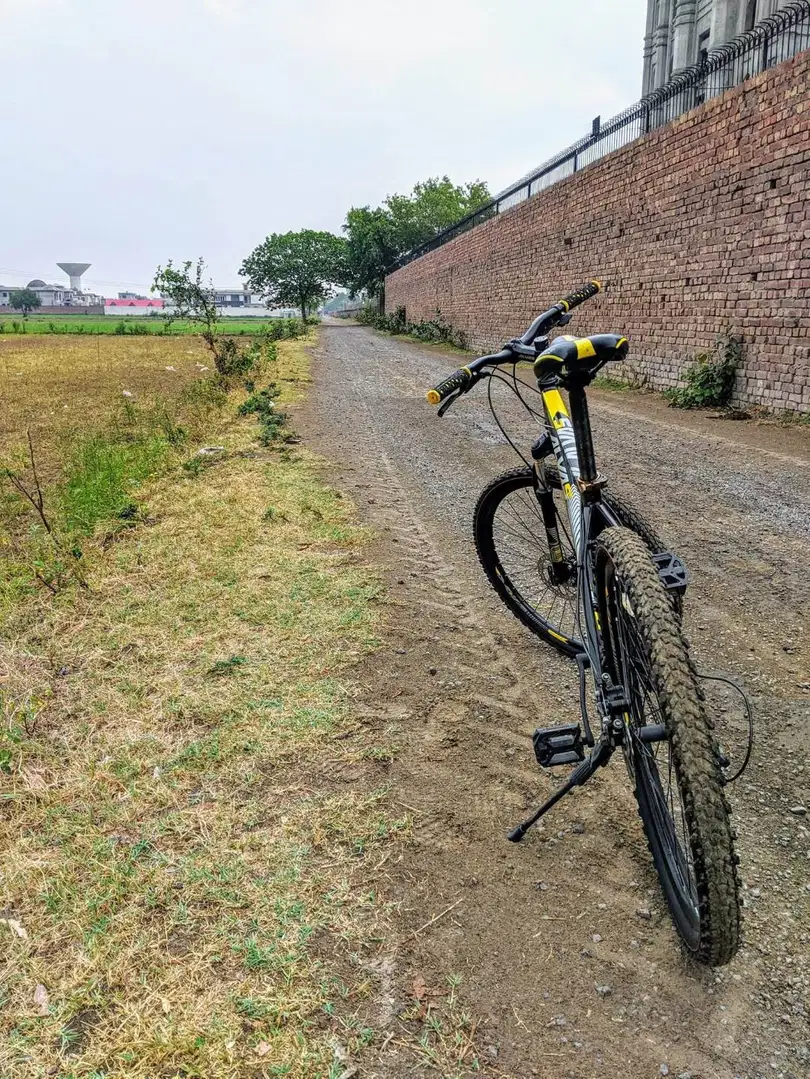 Alvas XC Hard Tail Mountain Bike