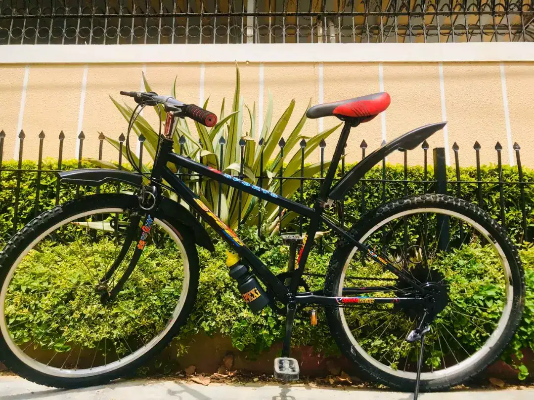 Full Size 26 Bicycle Japanese