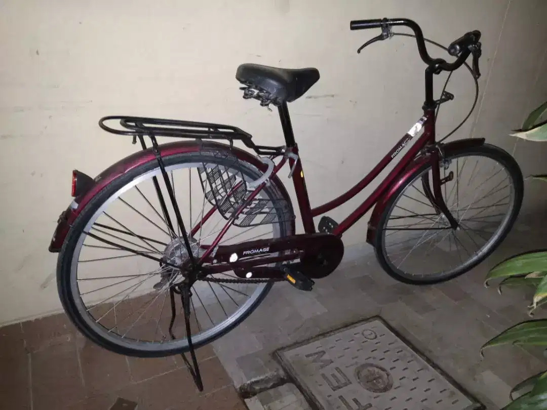 Imported Japanese Hybrid Cycles