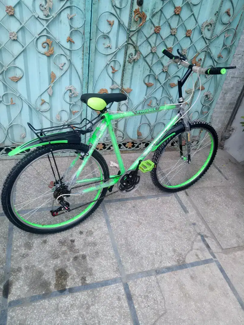 Phoenix new barind for sale