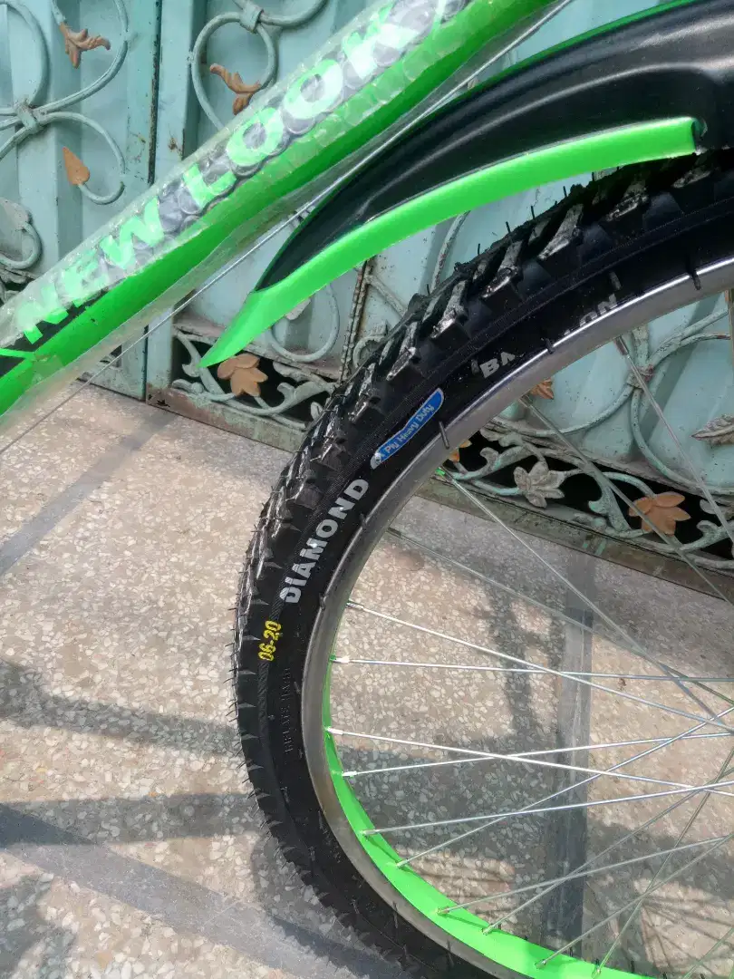 Phoenix new barind for sale