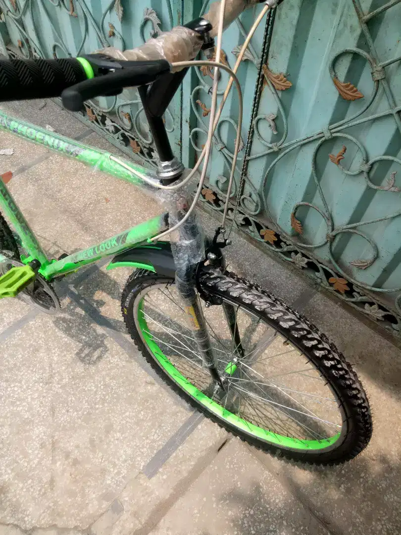 Phoenix new barind for sale