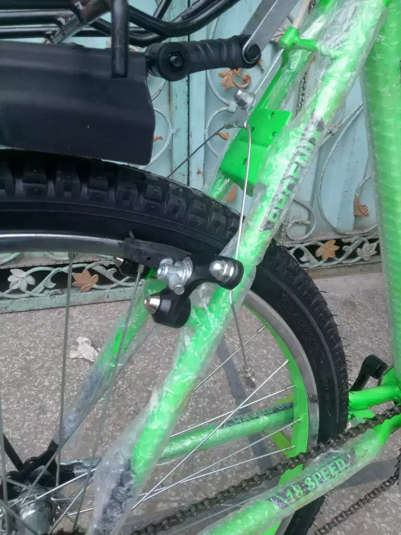 Phoenix new barind for sale