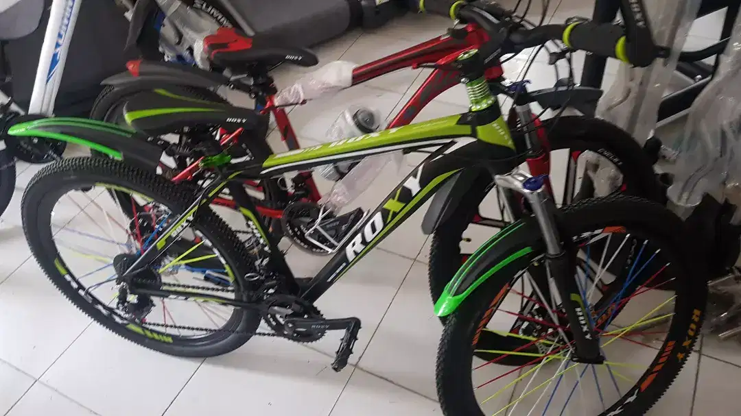 Roxy bicycle and many more