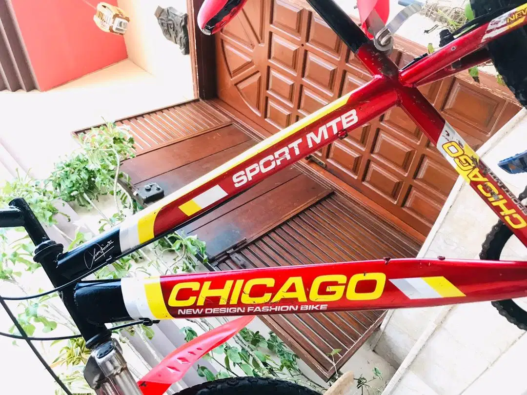 CHICAGO IMPORTED Bicycle