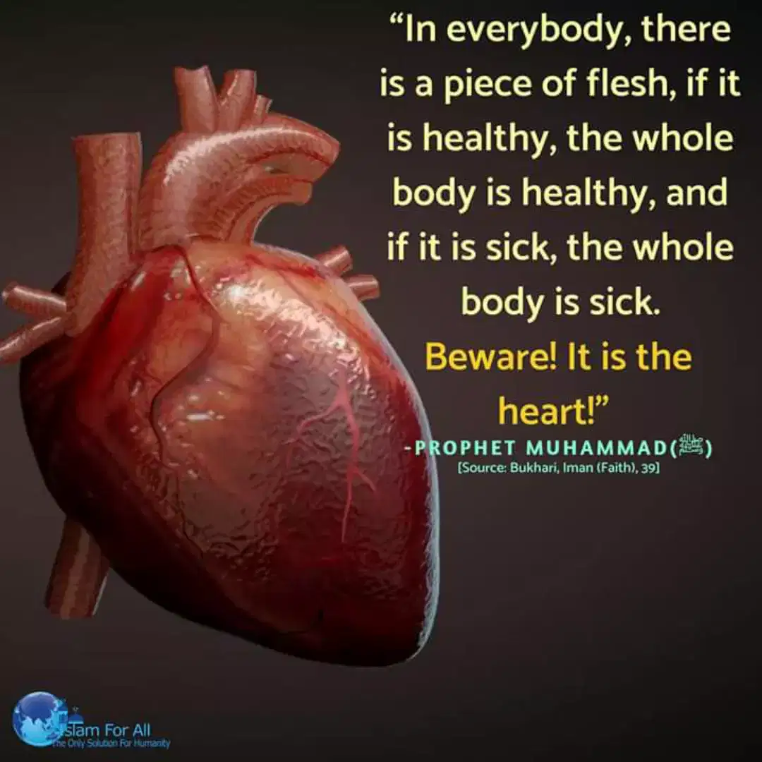 dhms homeopathic guide classes start now