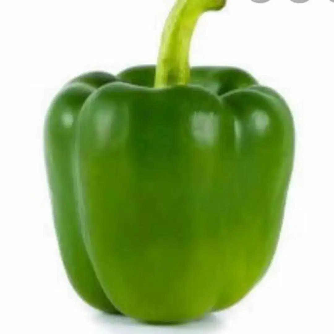 Day Fresh Fruits & Vegetables