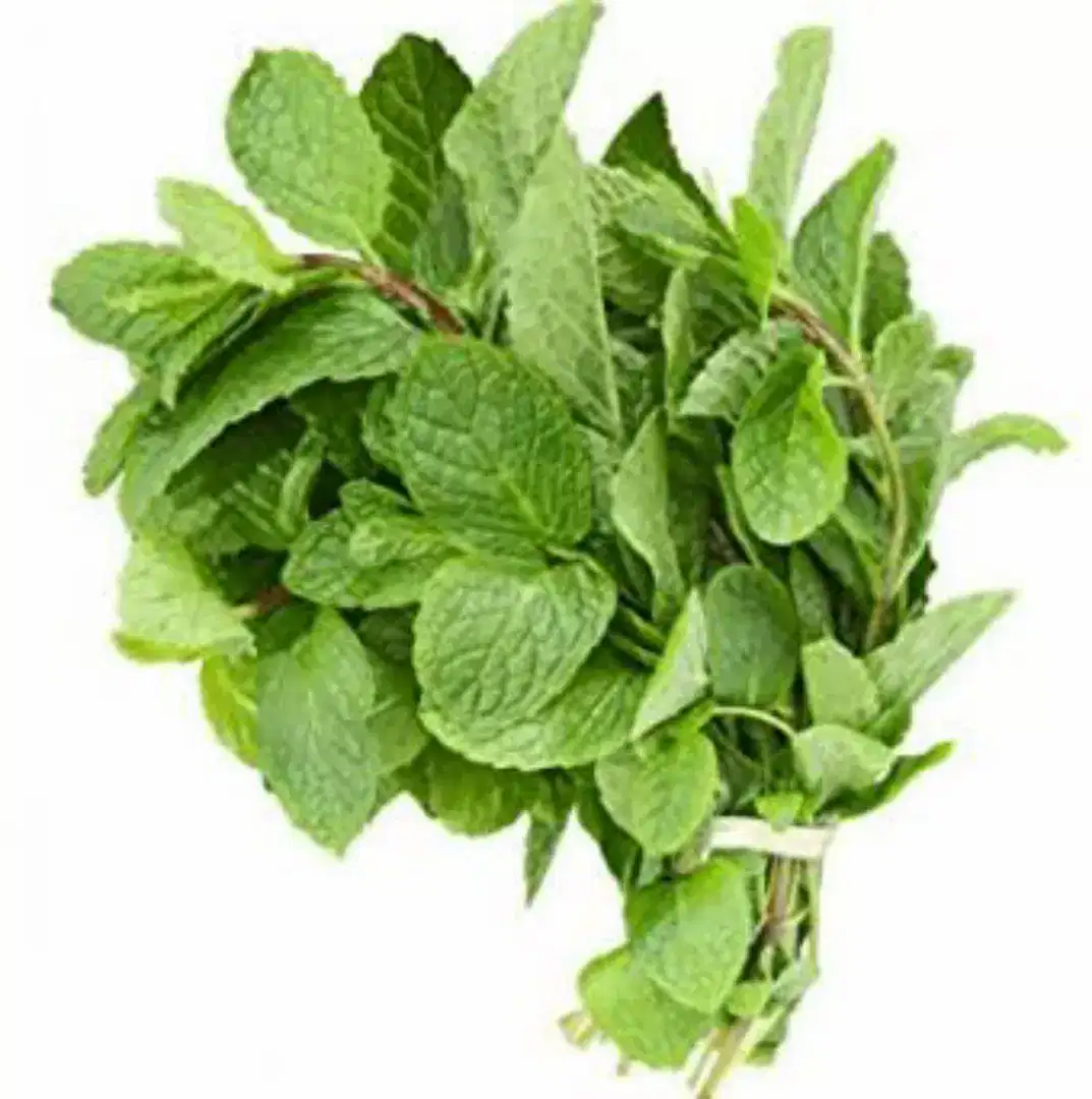 Day Fresh Fruits & Vegetables