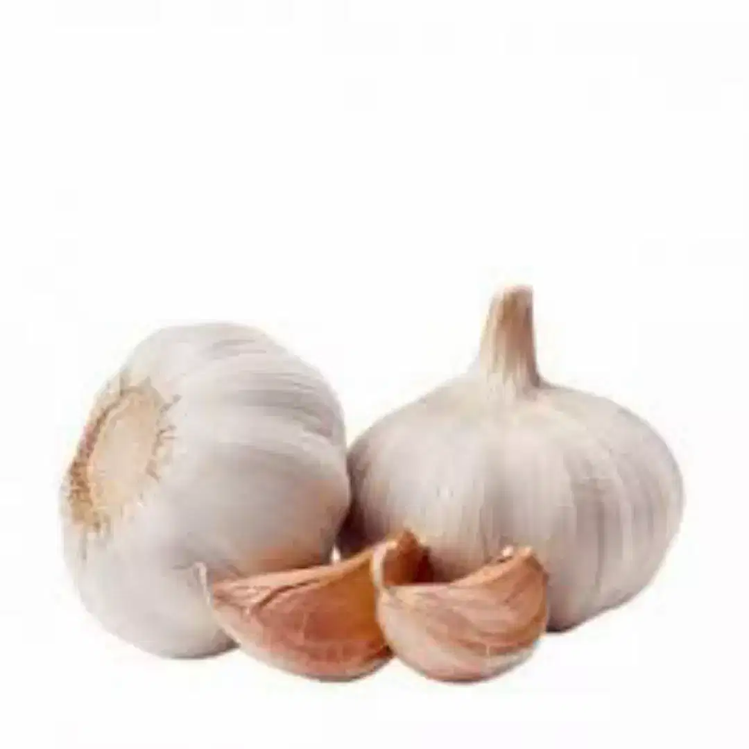 Day Fresh Fruits & Vegetables