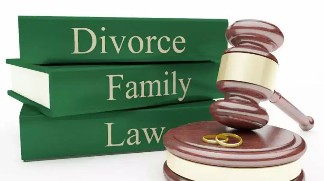 COURT MARRIAGE, DIVORCE, MAINTENANCE, CHILD CUSTODY LAWYER