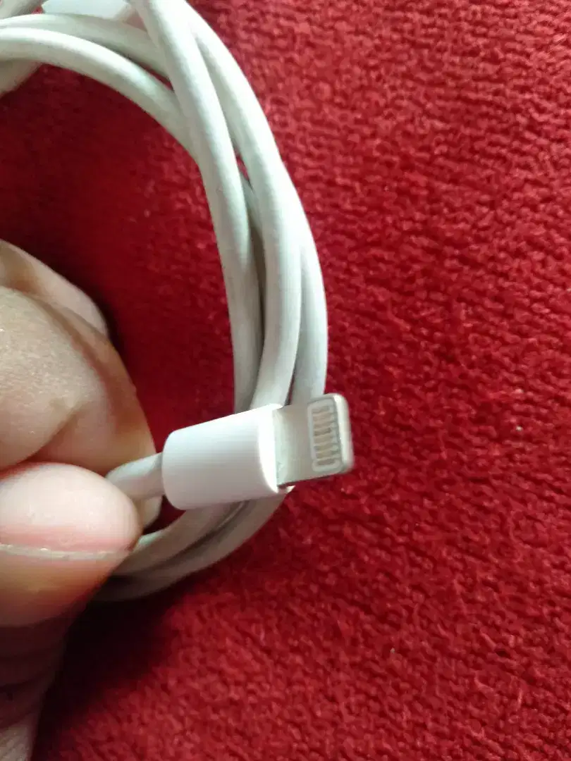 iPhones data cable orignal