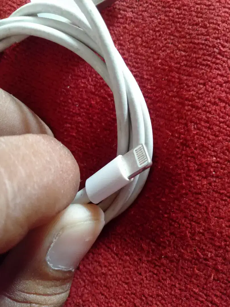 iPhones data cable orignal