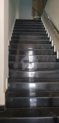 Dc Colony Fresh Flat Avaliable For Rent.