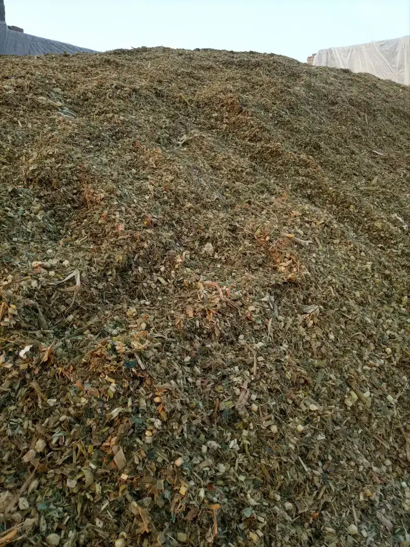 Silage Seeds, Crops, Pesticides & Fertilizers 400/40kg for sale in khanewal
