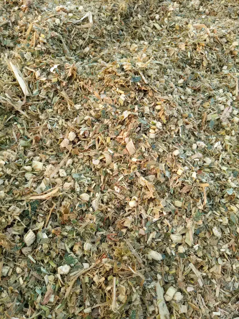 Silage Seeds, Crops, Pesticides & Fertilizers 400/40kg for sale in khanewal