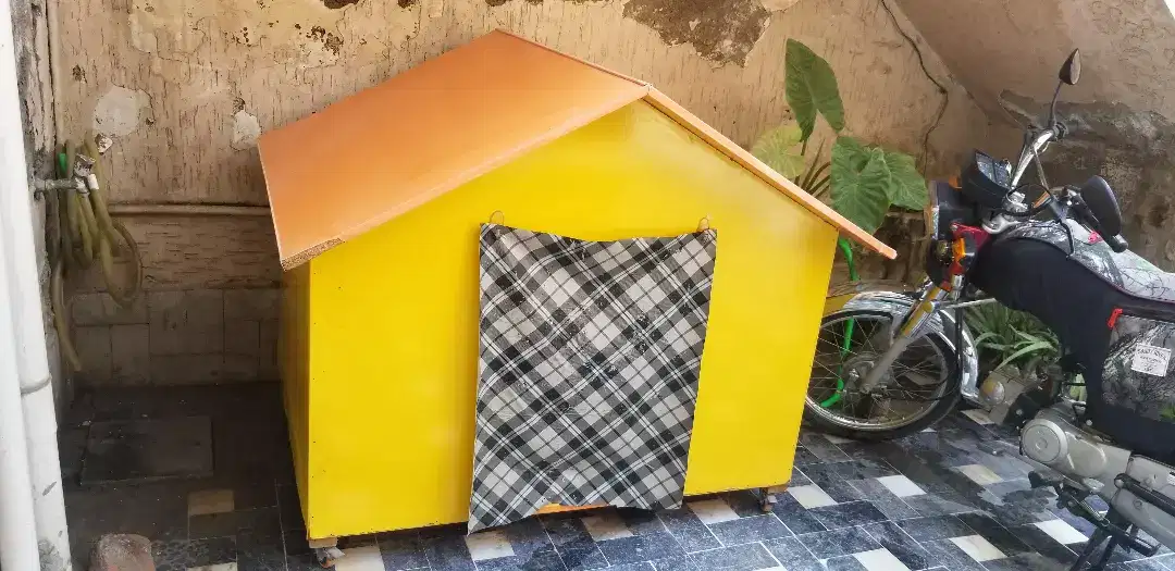 Yellow color Dog House available for sale