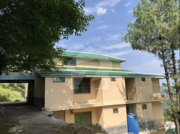 Flats Available For Rent Shamlat heights