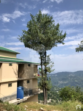 Flats Available For Rent Shamlat heights