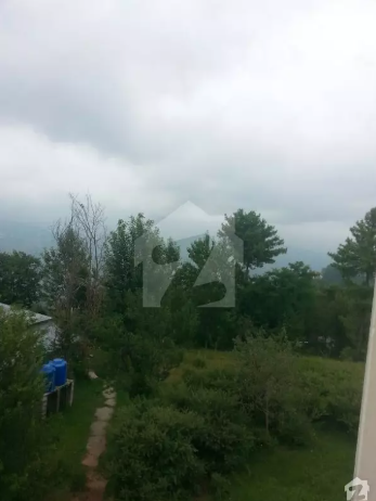 2 Bed Rooms Fully Furnished Apartment With Living Room Kitchen Covered Car Parki