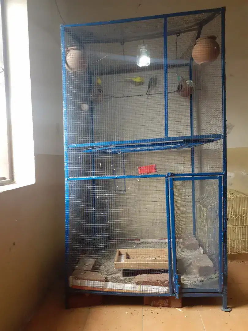 Birds cage available for sale