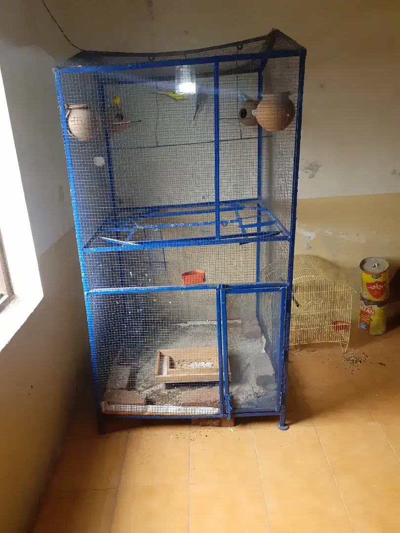 Birds cage available for sale