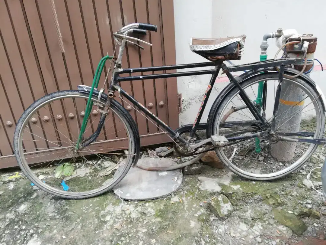 Bicycle for sale