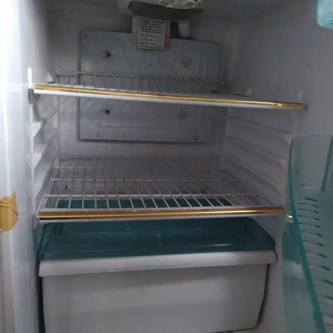 Fridge +steblizer