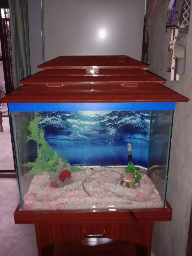New aquarium for sale