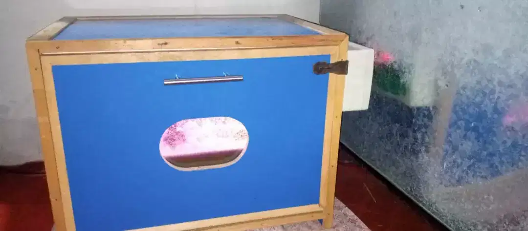 Egg Incubator available for sale