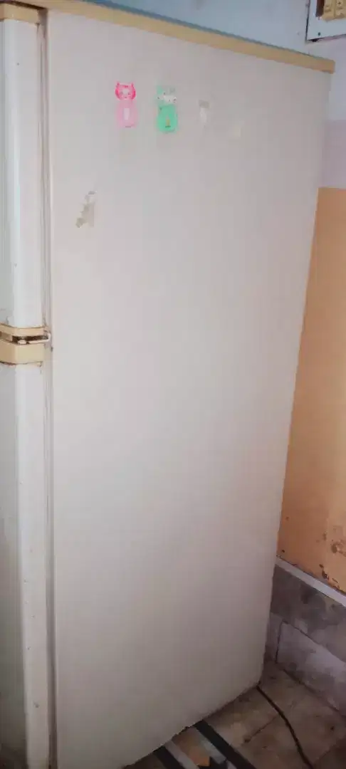 Waves company ki frej for sale Hy.