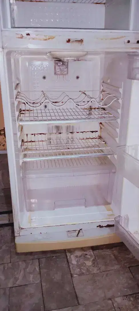 Waves company ki frej for sale Hy.