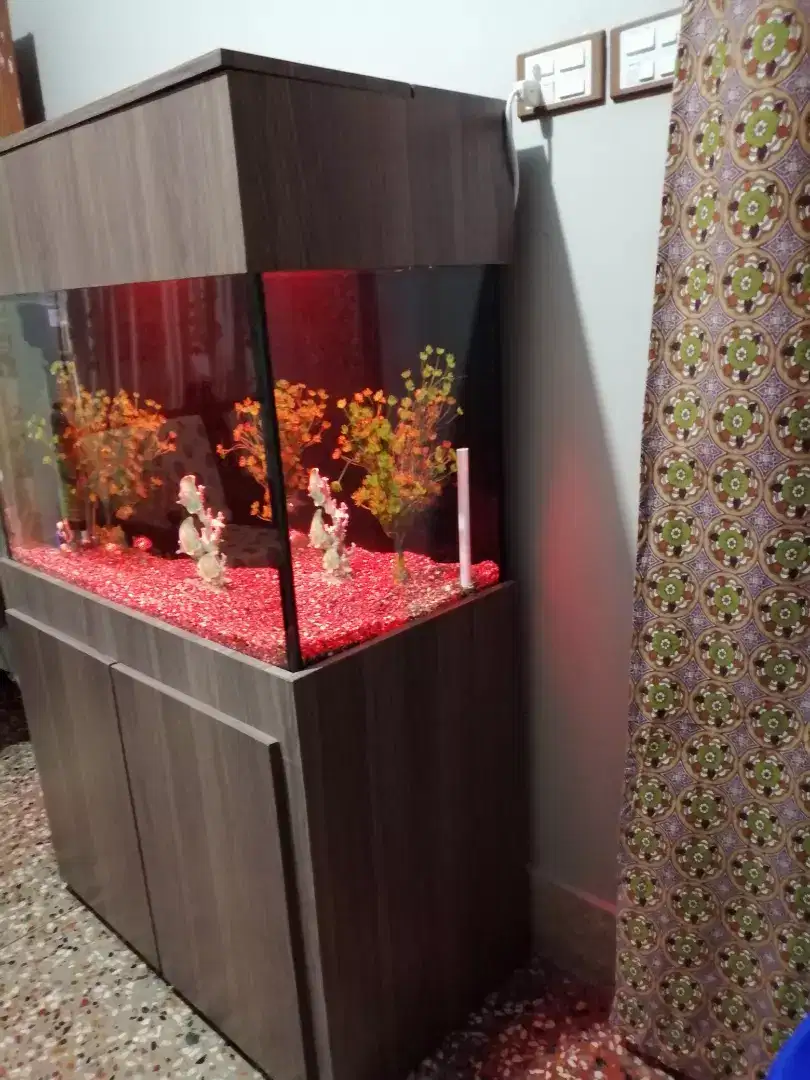 Home Made 3ft Aquarium for sale with complete setup