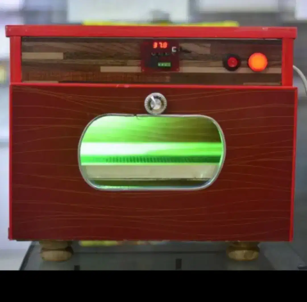 100 Eggs Incubator Fancy Shape available for sale