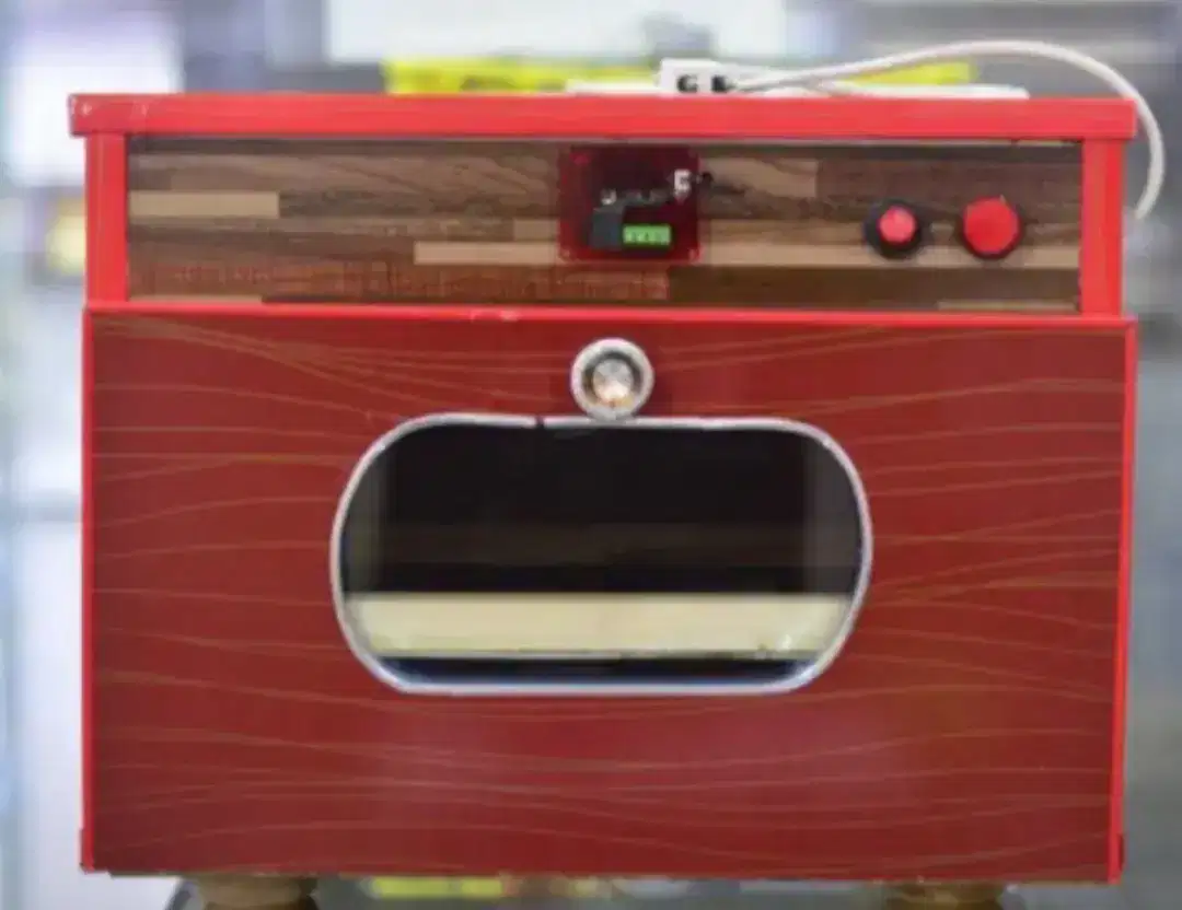 100 Eggs Incubator Fancy Shape available for sale