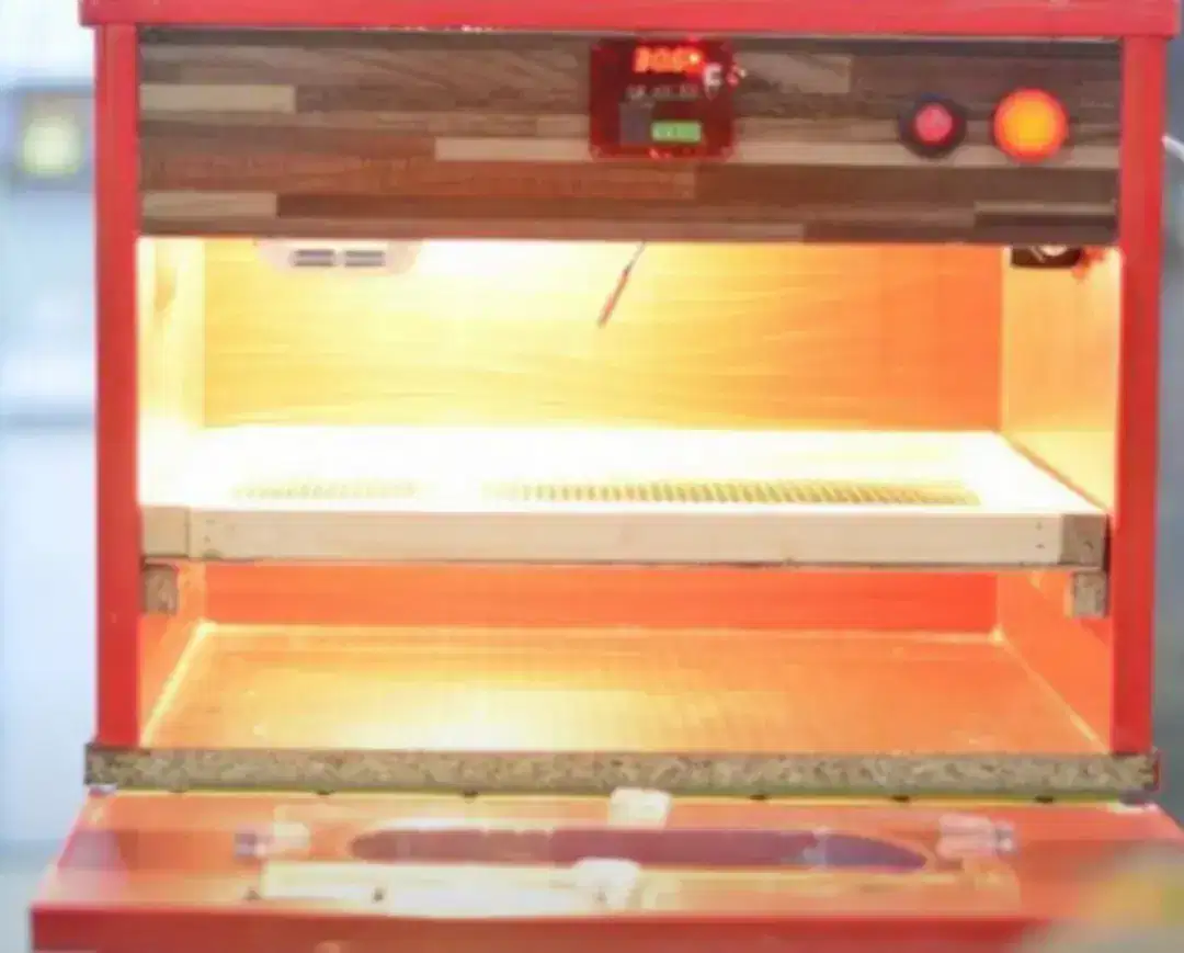 100 Eggs Incubator Fancy Shape available for sale