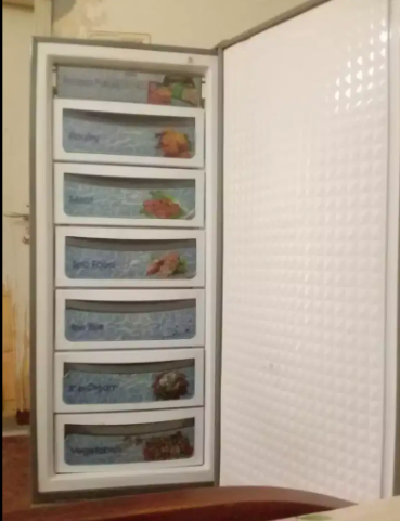 Dawlance Freezer For Sale In Faisalabad
