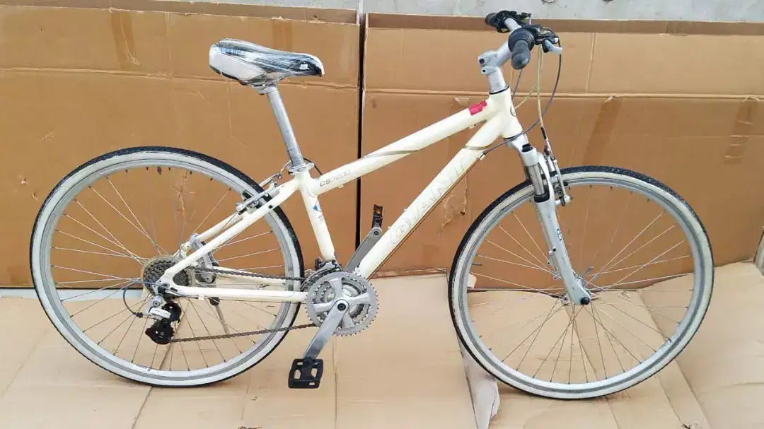 giant cycle for sale