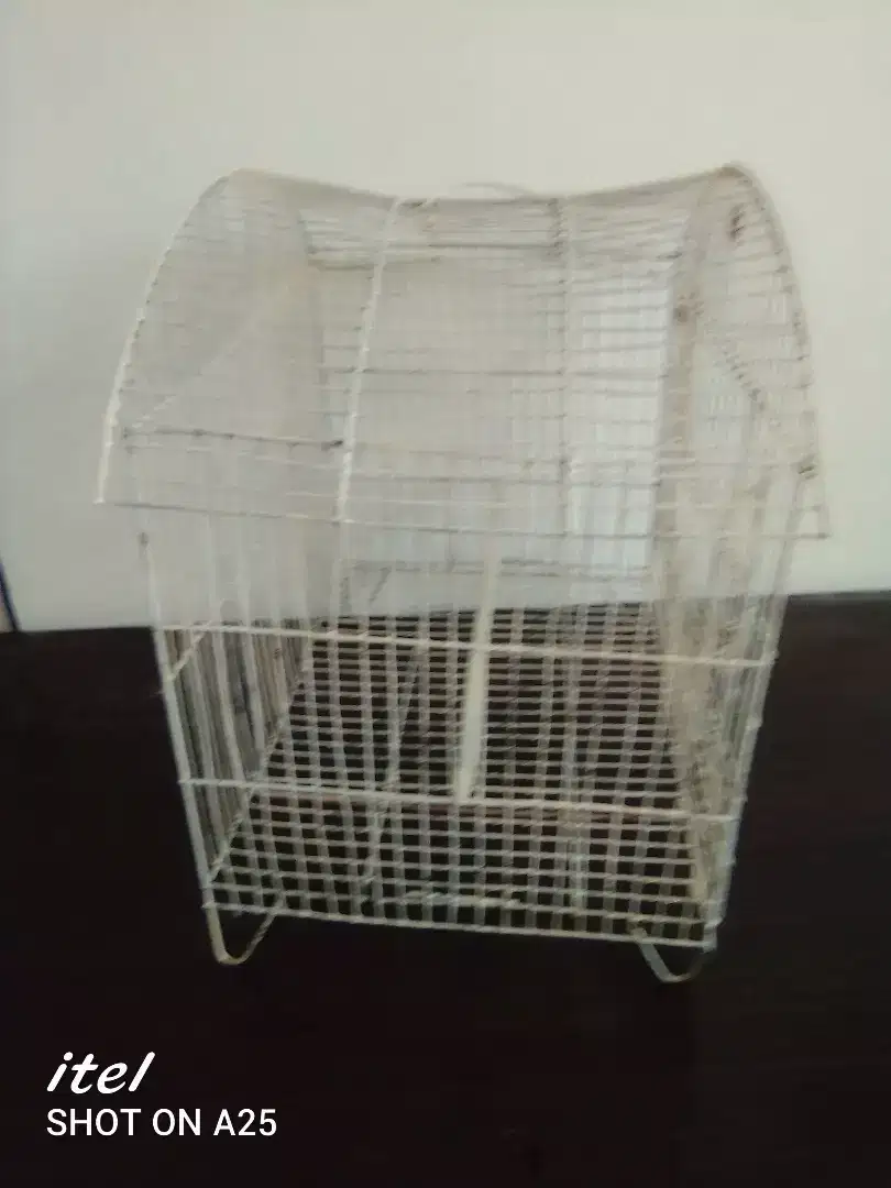 Birds Medium cage for sale in Rawalpindi