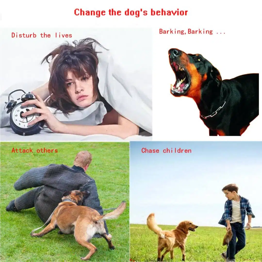 Dog Electronic Trainer Collar Waterproof Rechargeable LCD Electric  for sale